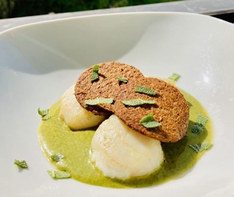 Plat du menu à la carte Coquilles saint Jacques sur assiette